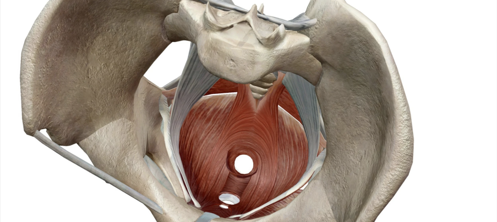 Screenshot 2026 01 05 At 9.21.07 am